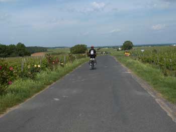 loire (558).jpg